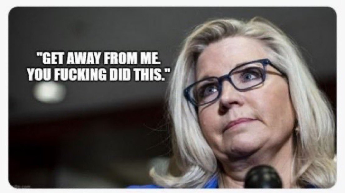 Justice For Hedgehogs 🦔⚖️🇺🇸 tweet media