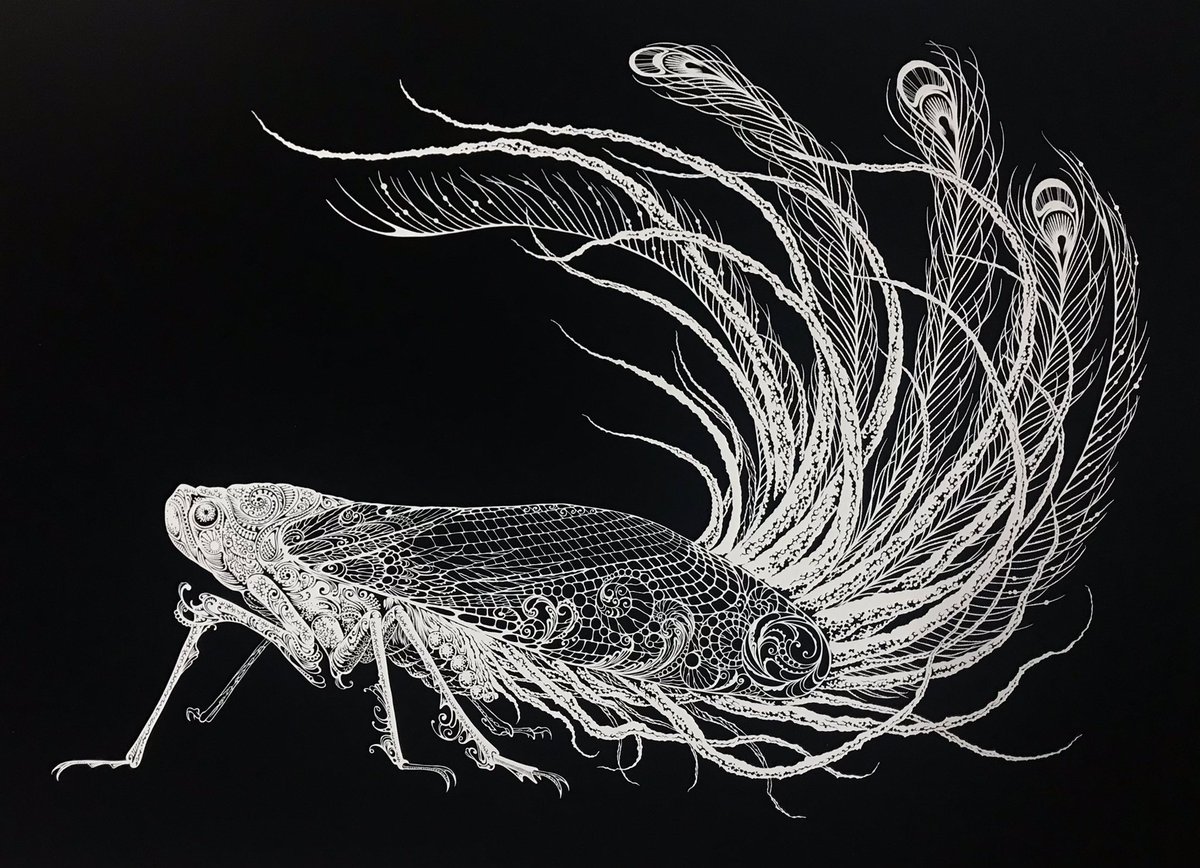 【切り剣Masayo切り絵展】 ✨本日最終日です✨ 切り剣は終日在廊いたします!見かけたら声をかけてくださいね('∀`*) 会場で販売している作品集はあと18冊との事です。お買い上げの方にはサインをさせていただいております😊 #切り絵 #切り剣Masayo切り絵展 #メゾンドネコ