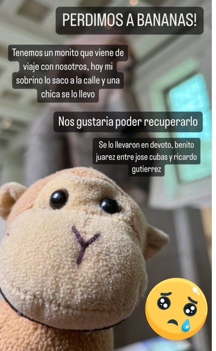 ¿Me ayudan con un rt? Mi hijo más chico perdió a Bananas. Bananas es una pequeña reliquia familiar y lo extrañamos un montón. Se perdió en Devoto, Benito Juarez entre José Cubas y Ricardo Gutierrez. Si te encontraste un monito y querés hacer feliz a una flia porfa contactanos🐵🙈