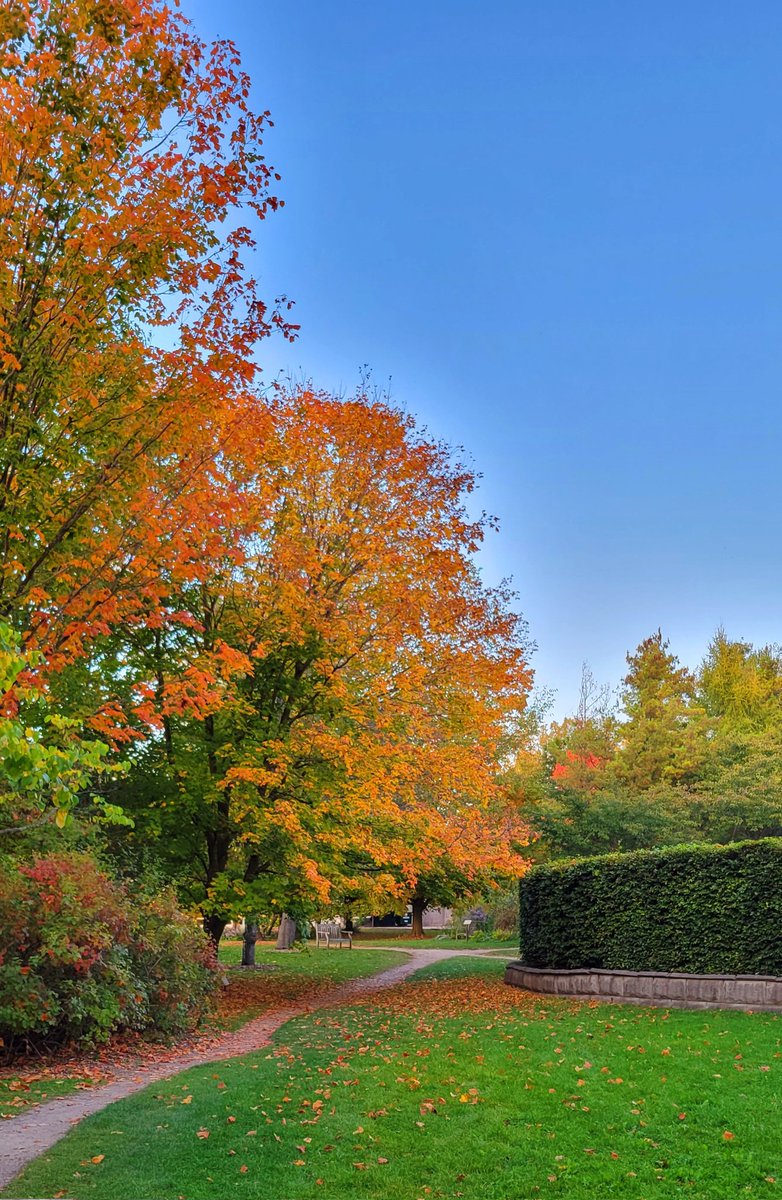 Happy Long Weekend
.
.
.
#fall #nature #autum #weekend #longweekend #travel #photo #photooftheday #NaturePhotography #fallcolours