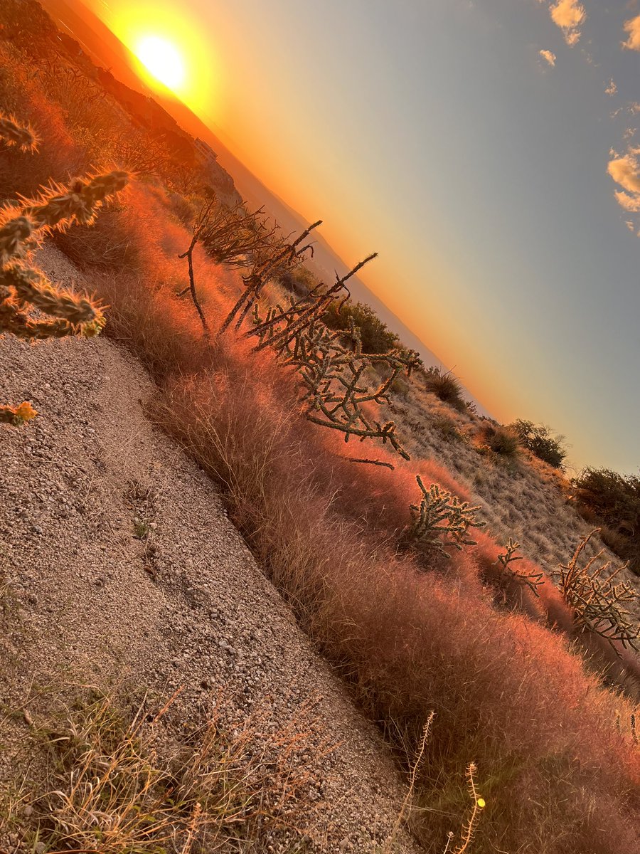 Sunset hike in foothills