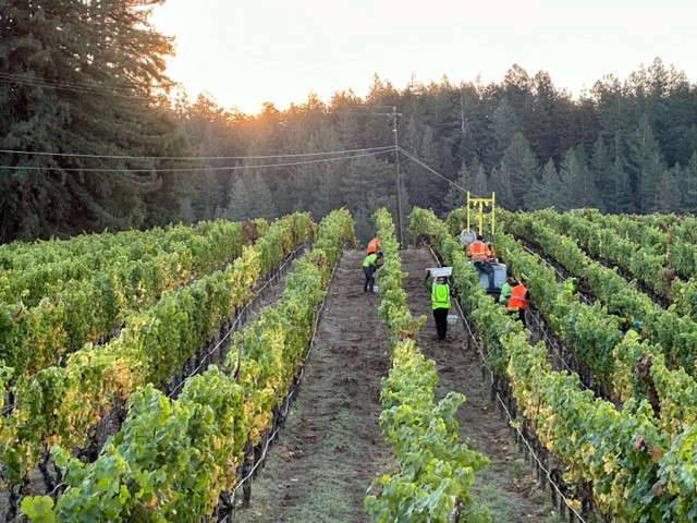 Marimar Torres tweet media