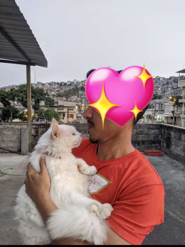 Dukesa Harley tweet media