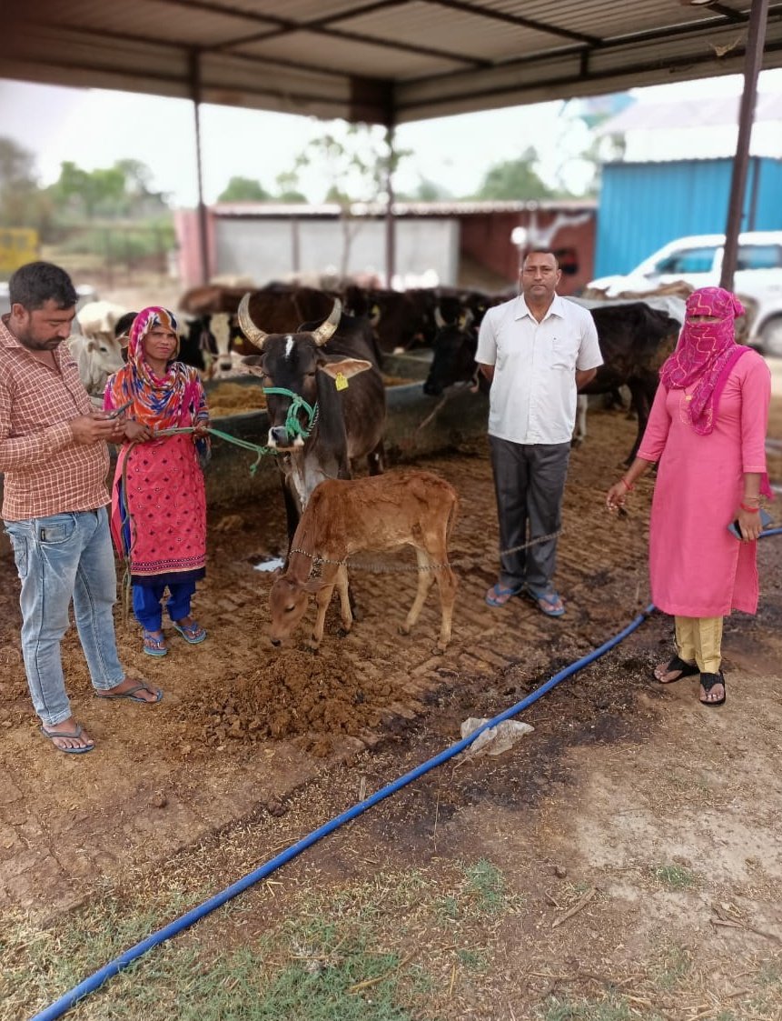 पिछले 10 दिन में अभियान चला कर मुख्यमंत्री सहभागिता योजना के तहत विकास खंड की सभी  गौशाला से लाभार्थी को गाय सुपुर्दगी कराई गई 
<a href="/CDO_HAPUR/">CDO HAPUR</a> @PrernaSinghIAS <a href="/DmHapur/">DM Hapur</a>