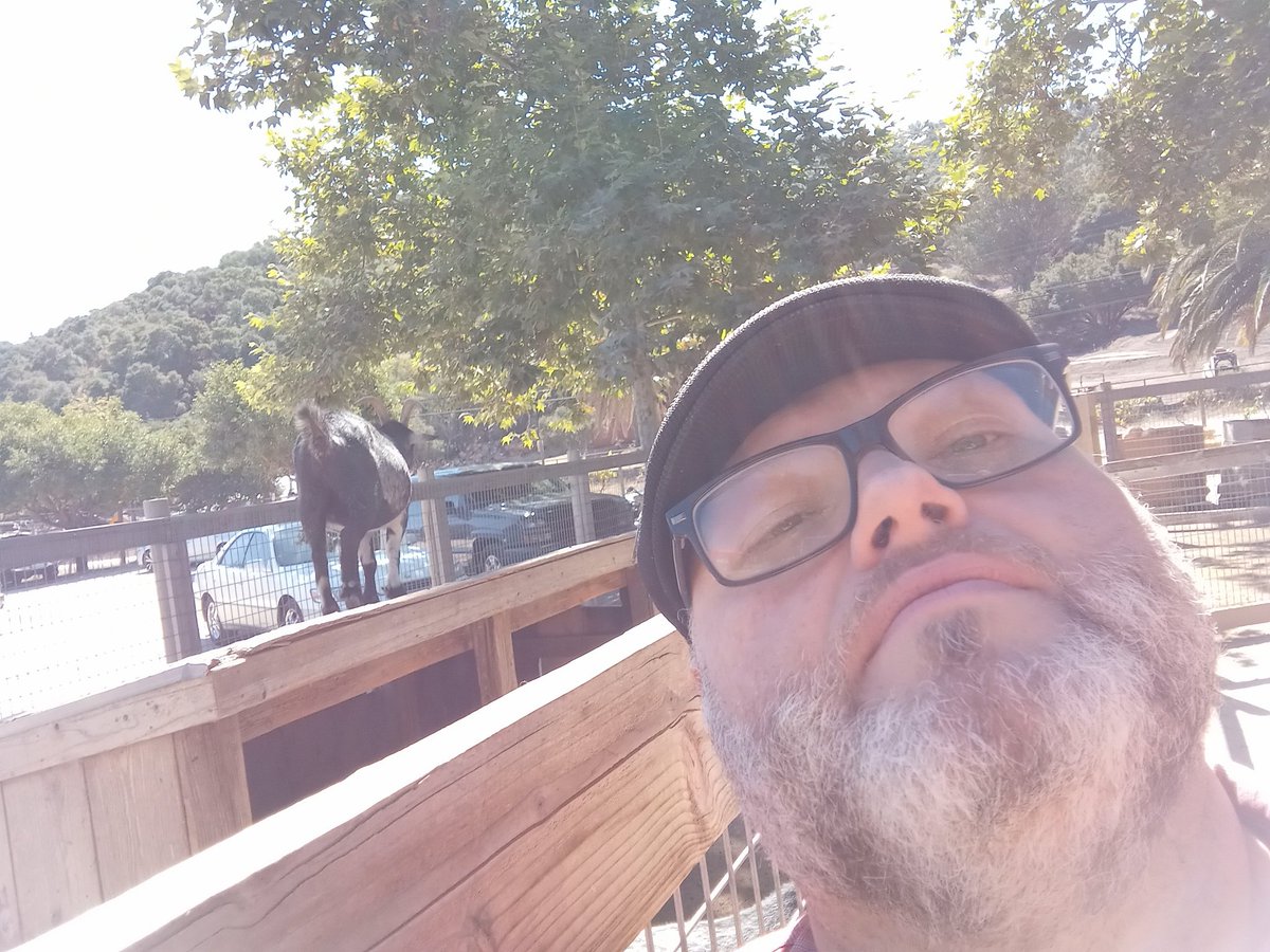 Try to take a selfie.  Get no respect.  #goatbooty #itstoohot