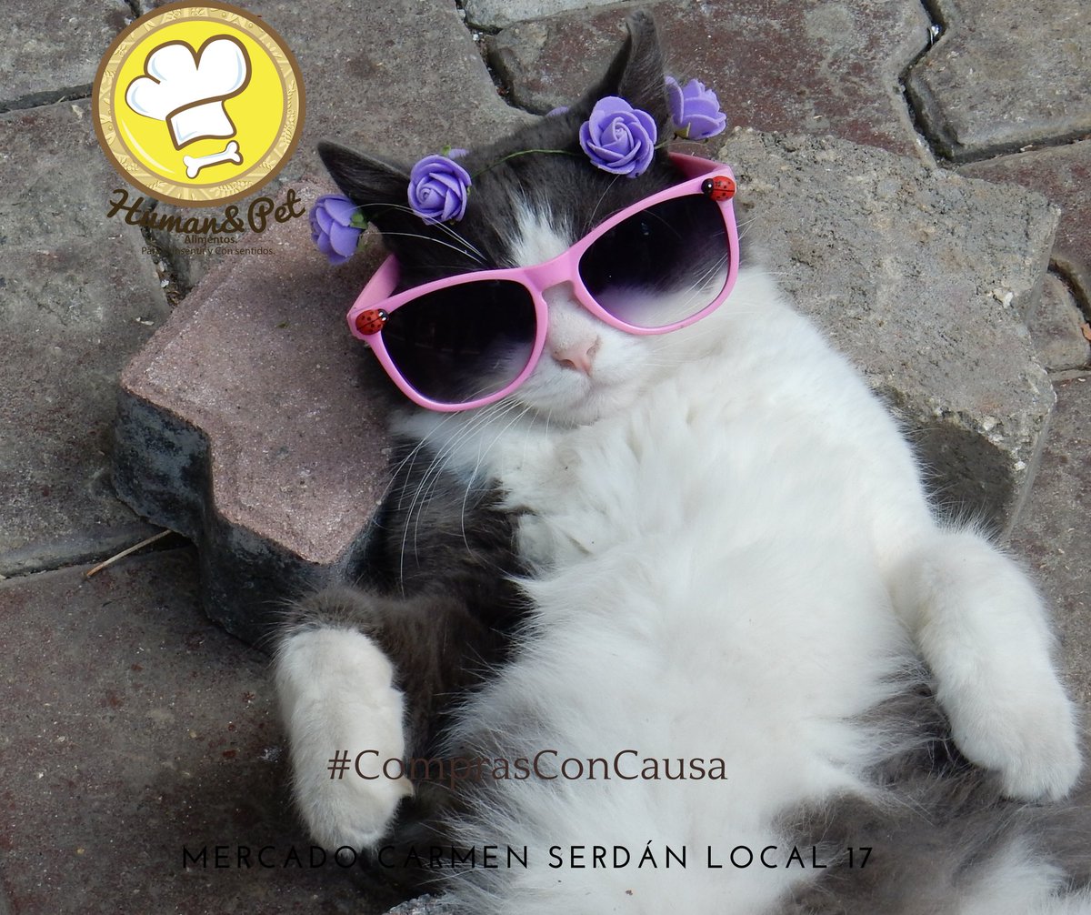 Agencia Informativa GraphosCc tweet media