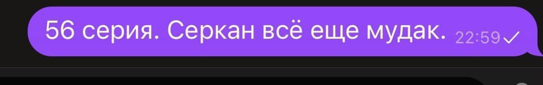 Девочка: «Серкан Болат - краш! Выезжаю в Турцию!»

Женщина: