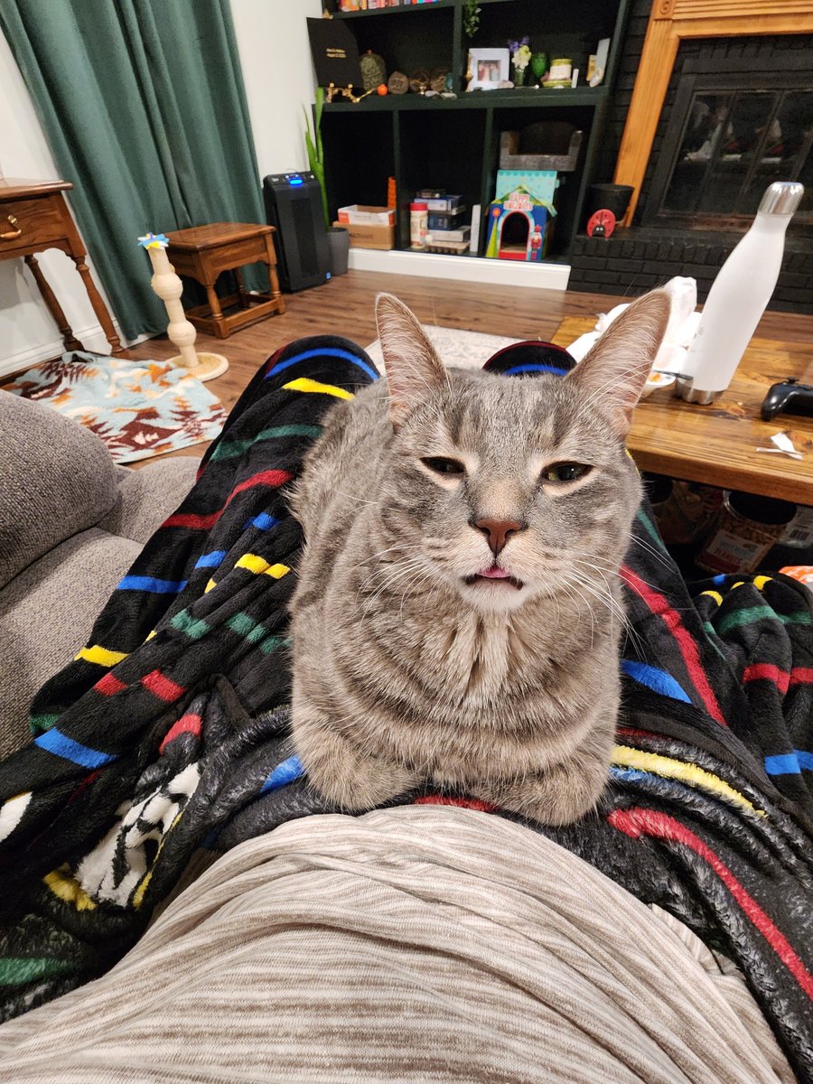 BeanBleps's tweet photo. https://t.co/nPKHanD7xy