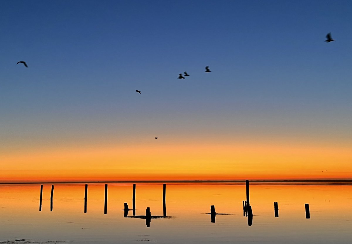 Who needs filters? No color enhancement, just an incredibly vibrant and beautiful northern California coastal sunset. #humboldtcounty #northerncalifornia #westcoast #calilife #sunset #serenity #peace #landscapephotography #waterphotography