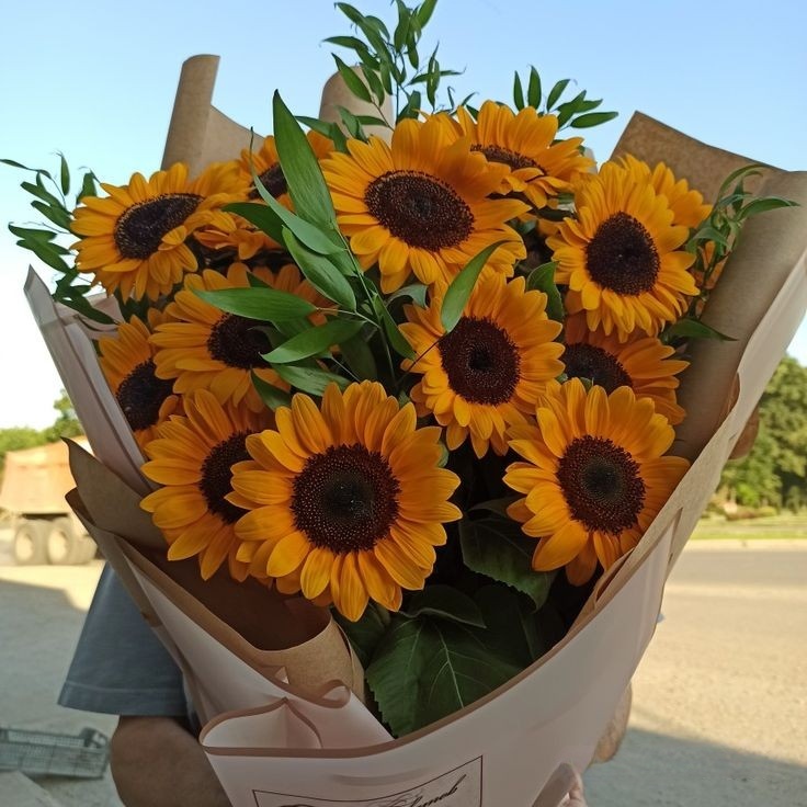 sunflowerchives's tweet photo. embracing happy vibes 🌻 https://t.co/aiN3W2eqeo