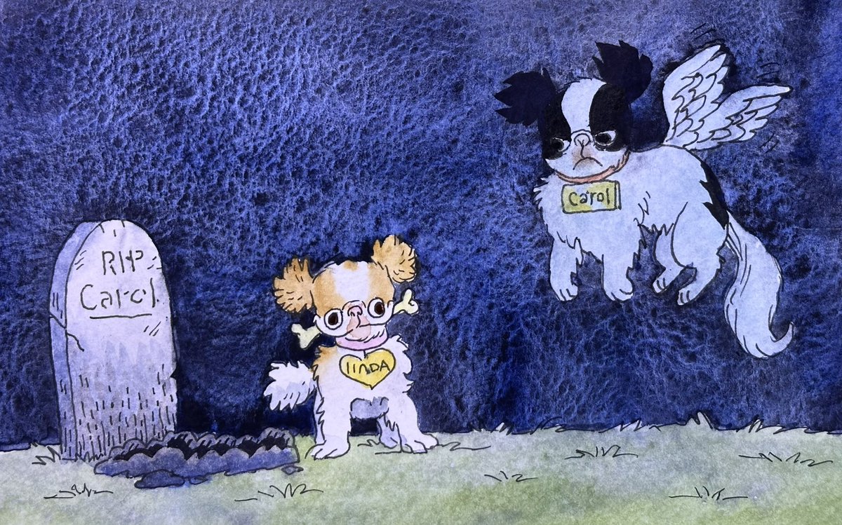 CaroltheDog's tweet photo. “Carol &amp; Linda finally meet…” https://t.co/2oTFkttT5m