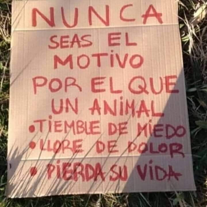 ¡¡ NUNCA !!