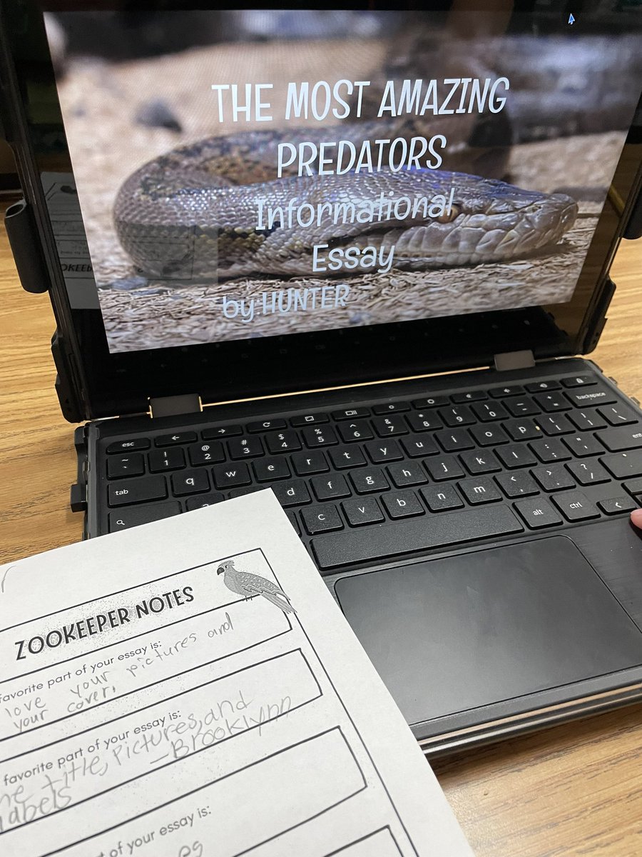 Ashley Findlay tweet media