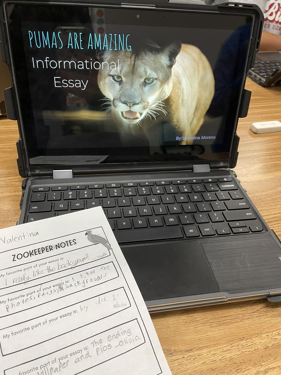 Ashley Findlay tweet media