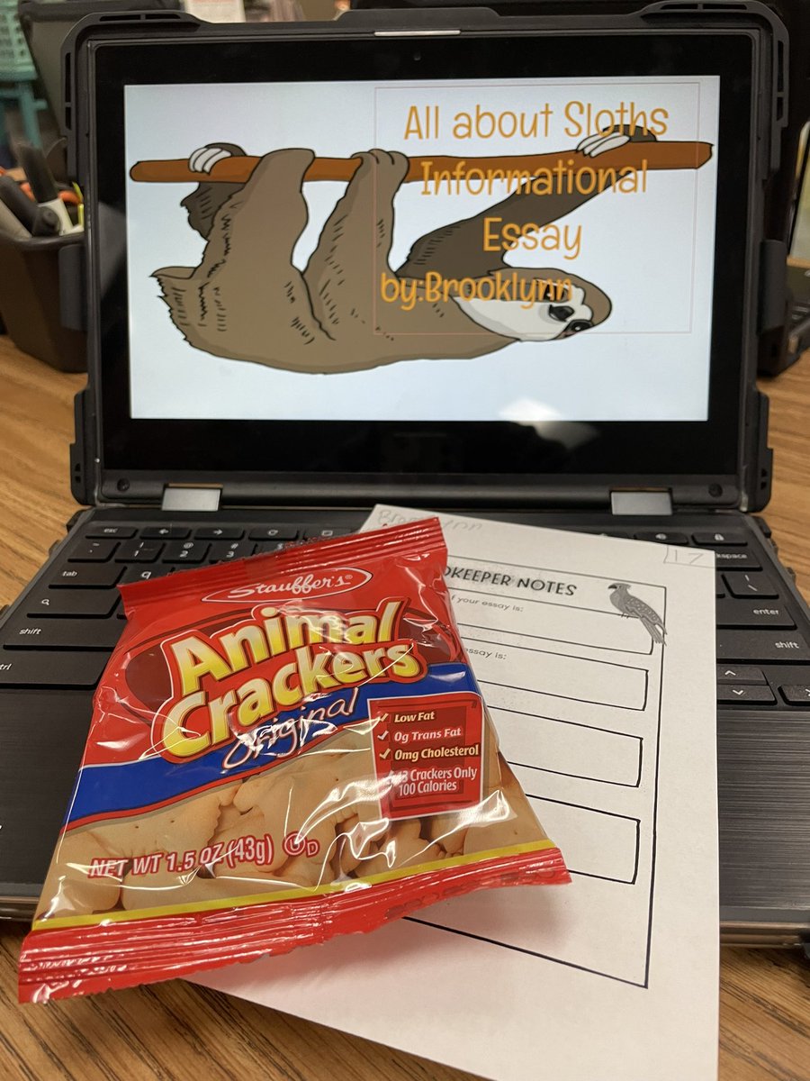 Ashley Findlay tweet media