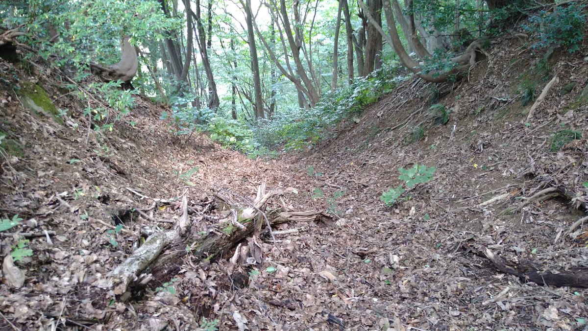 SerrowY's tweet photo. 戌山城なう。
#戌山城 https://t.co/75xbxrtzd7