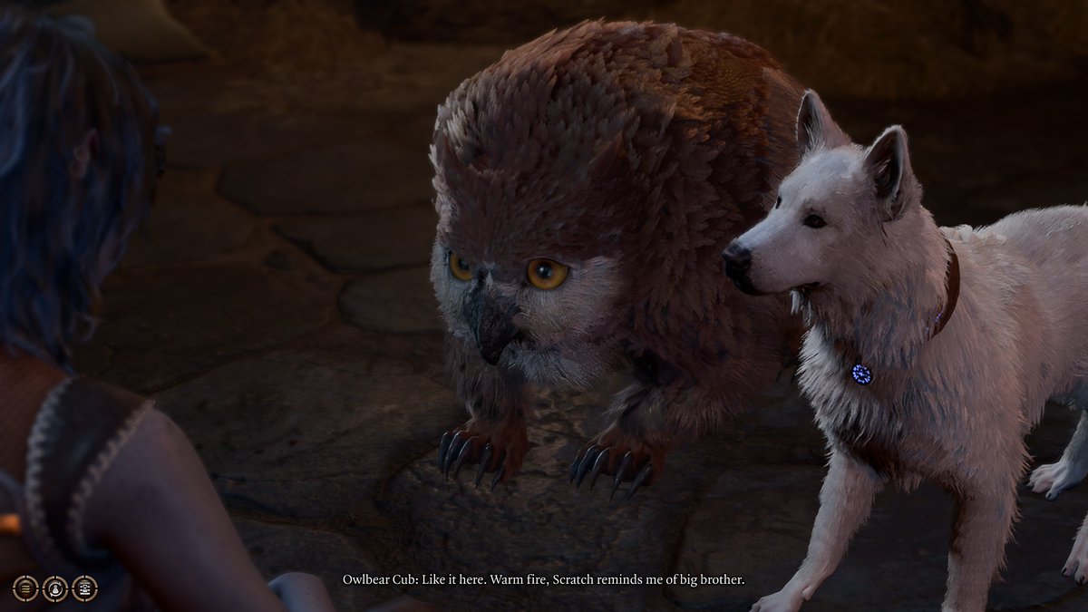 having speak with animals activated before scratch or owlbear cutscenes is so good