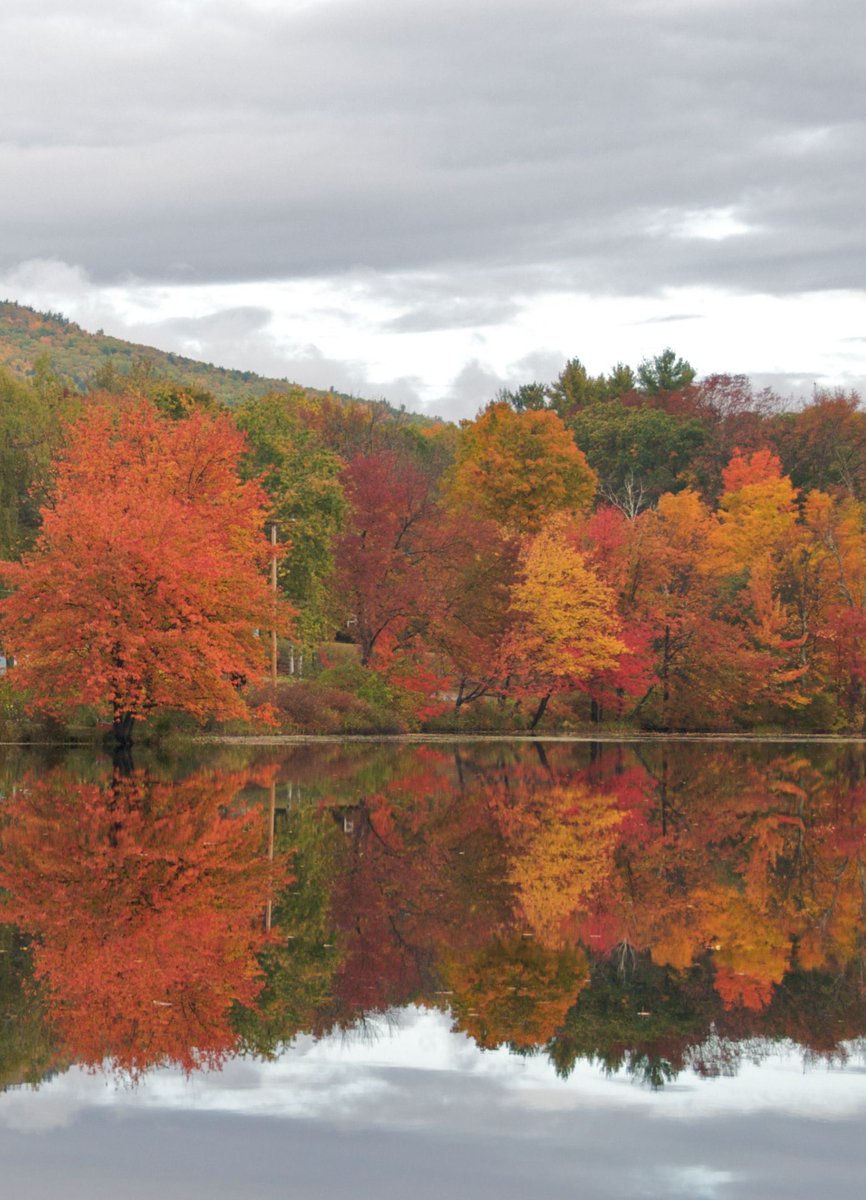LoveSongs4Peace's tweet photo. Autumn reflections in all shades 2.0 https://t.co/4VofqvKJOw