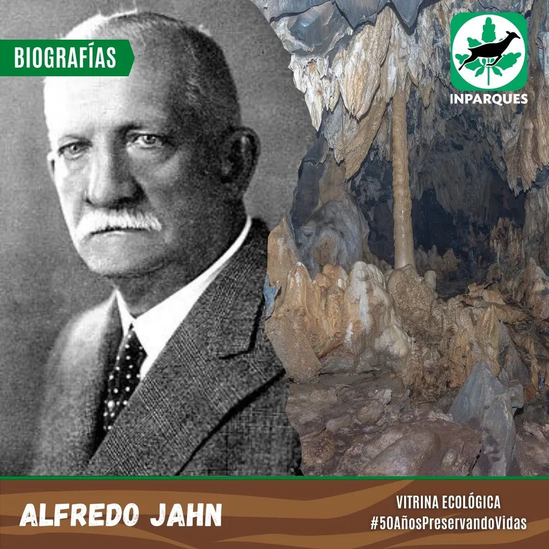#VitrinaEcológica | Varias de nuestras áreas protegidas llevan el nombre de importantes personajes que contribuyeron de alguna forma al desarrollo de nuestro país; tal es el caso del Monumento Natural Cueva Alfredo Jahn. Explorador, geógrafo y naturalista venezolano.
