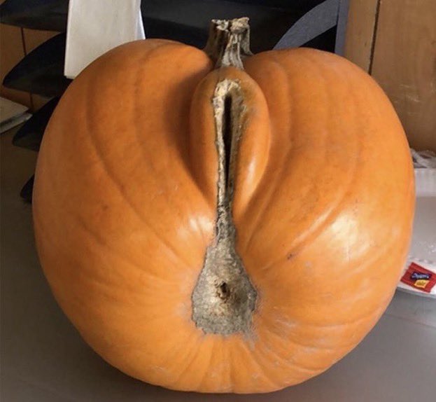 Doomsday Doomscroll tweet media