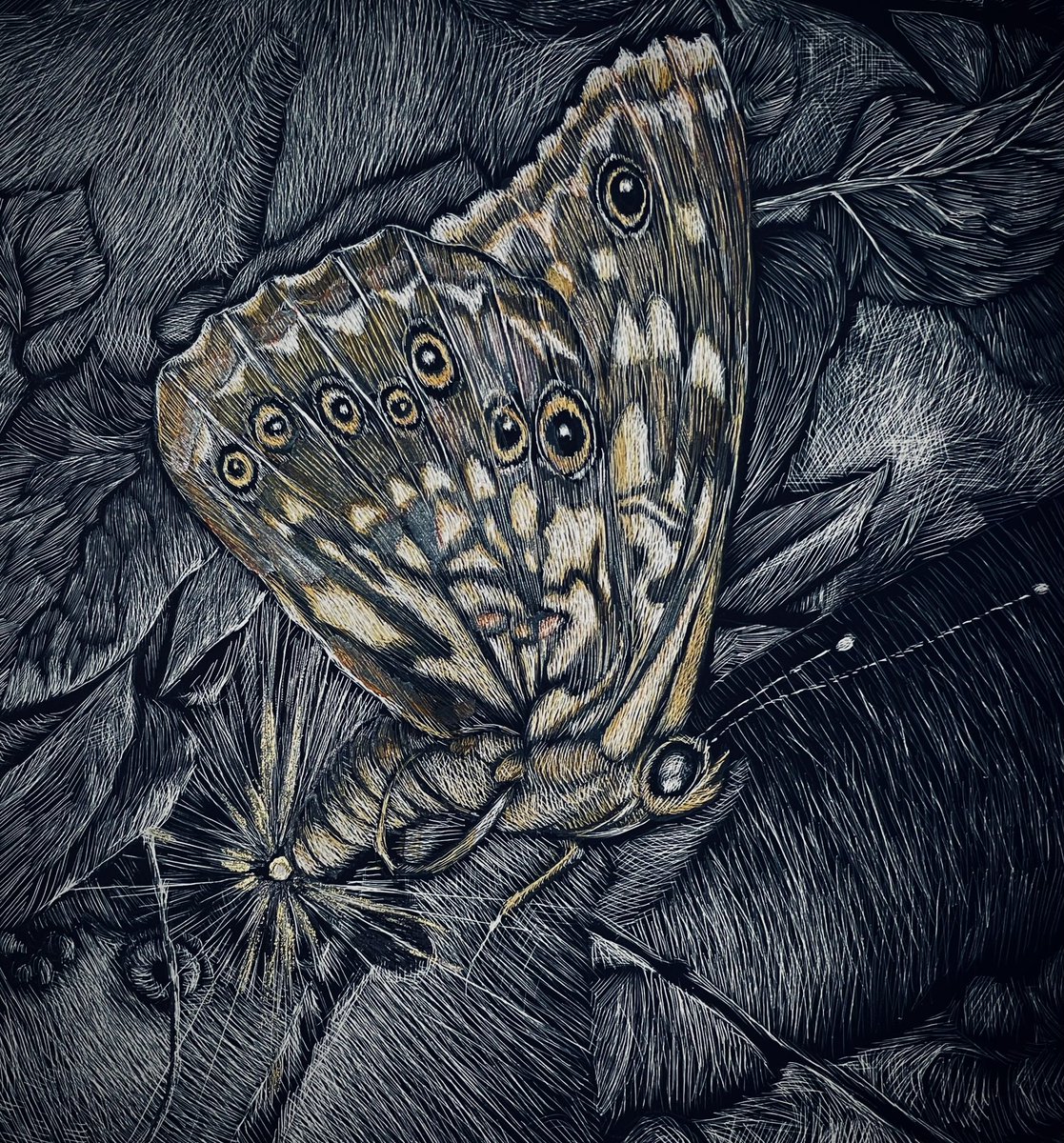 Kathryn Busby tweet media