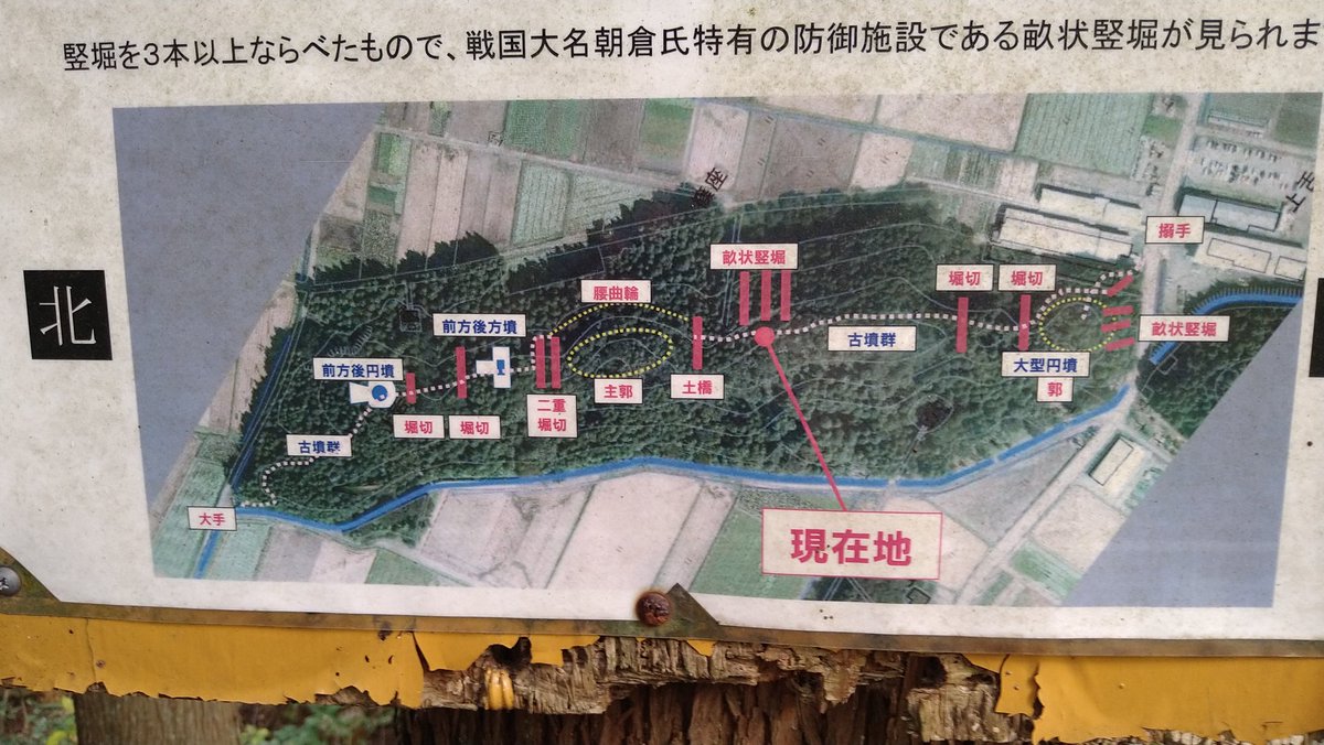 SerrowY's tweet photo. 舌城なう。
#舌城 https://t.co/mVp6SHgdyd