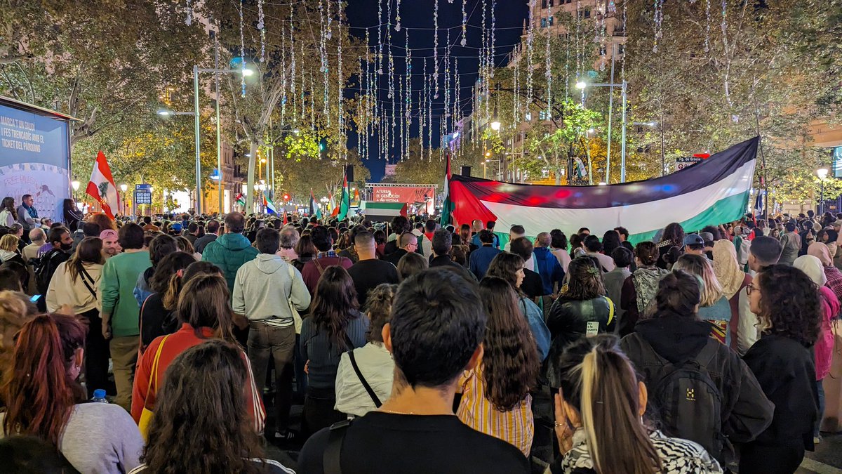 JoventBarcelona's tweet photo. Barcelona i els Països Catalans contra el genocidi ❌ a la Franja de Gaza

Sempre amb el poble palestí
Visca Palestina lliure! ✊
@JoventRepublica https://t.co/8Ox0bkXxzS