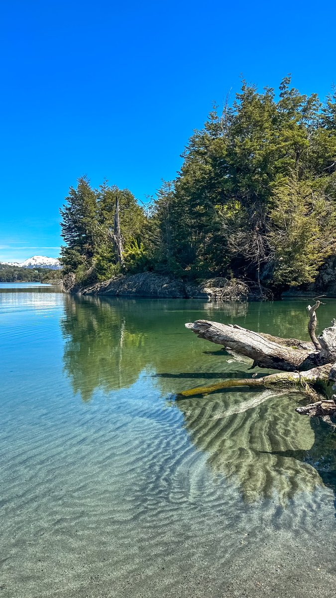 cabanas_caren's tweet photo. Post de apreciación a Villa Pehuenia - Patagonia Argentina🩵🇦🇷 https://t.co/to8bnHzVnp