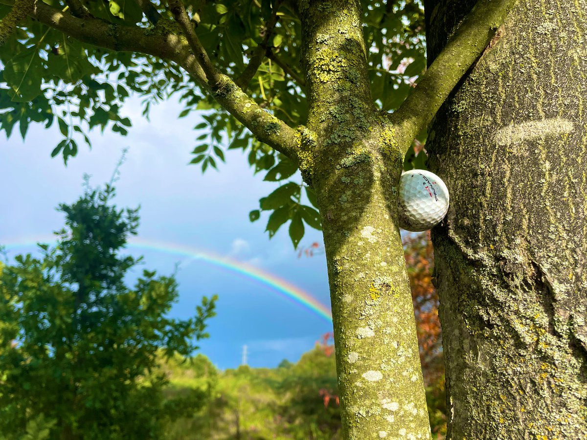 Watching Wychwood wonders while wandering = winning weekend 🌦️🙌🐶