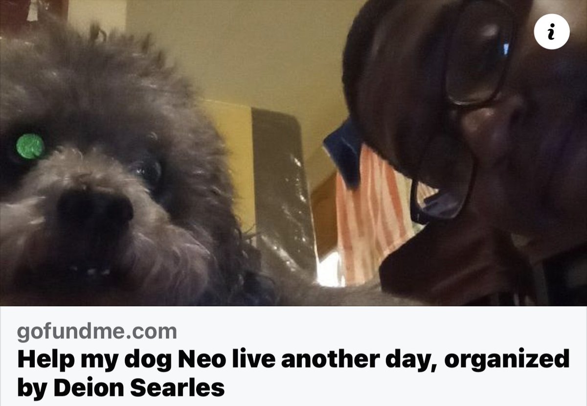 Nassan's Place tweet media