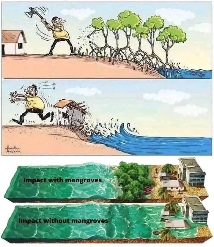 jelrezende's tweet photo. https://t.co/cwXpGNyKt3