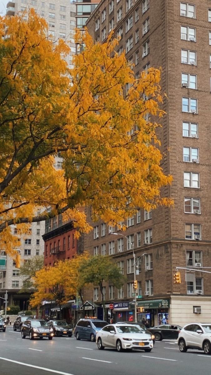 fall in new york 🍂