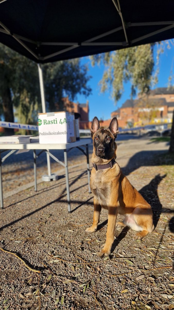 mrkallekos's tweet image. Käytiin tänään pitämässä rastia partioexplossa 😊

#hämeenpoliisi #mustamaskimalinois #explo