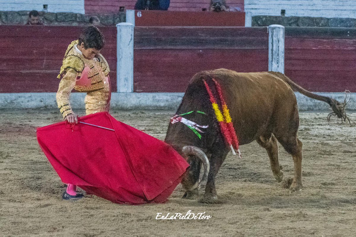 Burladero (@burladerotv) on Twitter photo Oreja para Marco Pérez en sexto de la tarde en Arenas de San Pedro
burladero.tv/festejos/2023/… <a href="/toros_ELPILAR/">Ganadería EL PILAR</a> <a href="/JoseAntonioPre3/">Jose Antonio Prestel</a> <a href="/NachodV10/">Nacho de la Viuda</a> <a href="/uruena_jimenez/">@FotografiasChemaUrueña</a> Oreja para Marco Pérez en sexto de la tarde en Arenas de San Pedro
burladero.tv/festejos/2023/… <a href="/toros_ELPILAR/">Ganadería EL PILAR</a> <a href="/JoseAntonioPre3/">Jose Antonio Prestel</a> <a href="/NachodV10/">Nacho de la Viuda</a> <a href="/uruena_jimenez/">@FotografiasChemaUrueña</a>