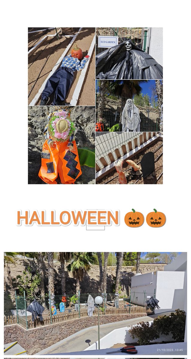 A nuestro ecogarden lo visito #Halloween 🎃👻y lo  convirtió en un cementerio terrorífico @sunsetbayclub @ElenaDortaTFE @thais_MCT @LuisFelicidad @Jessica_Rhodes9