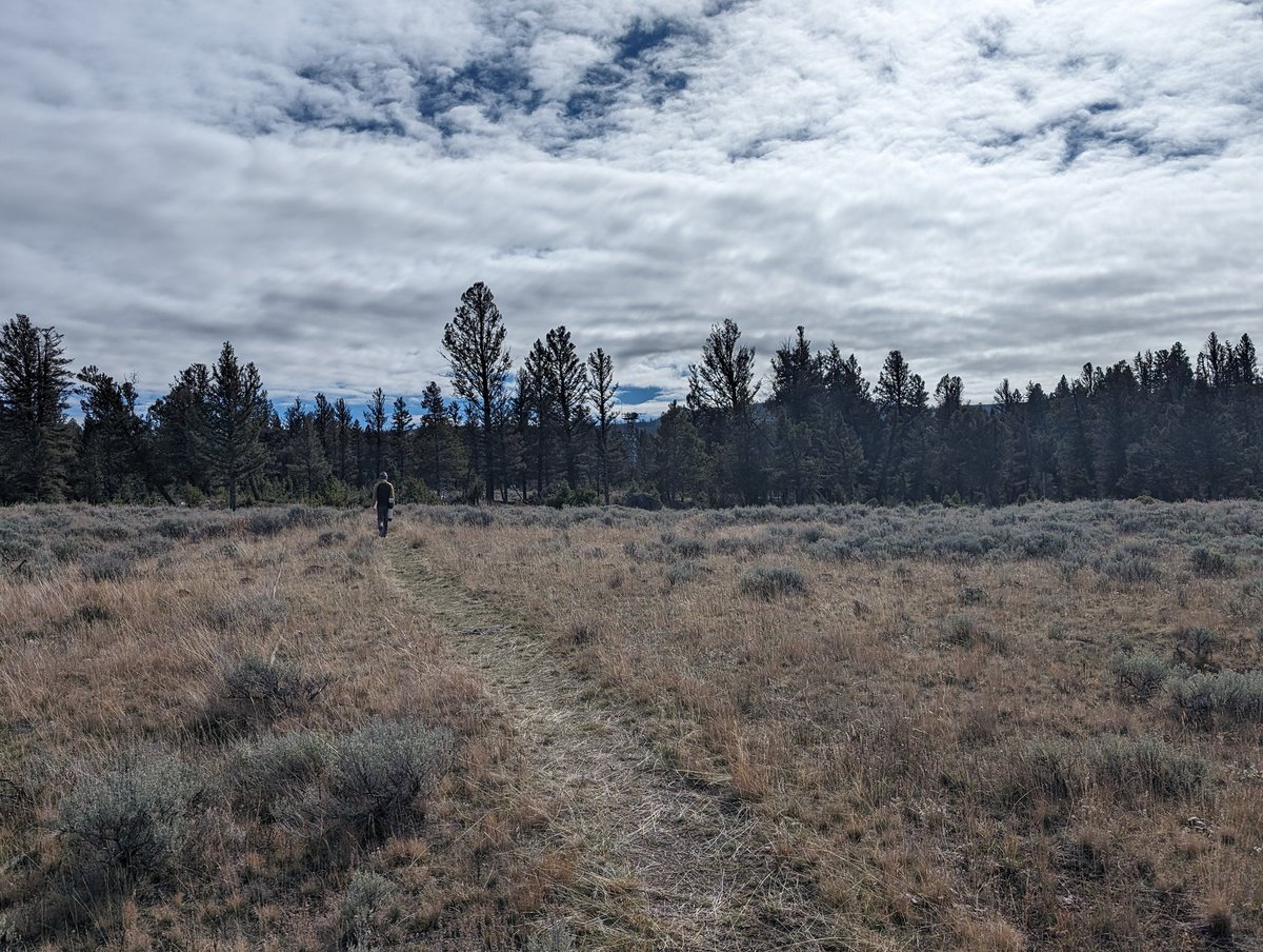 Finally recovered from some long haul fieldwork in <a href="/YellowstoneNPS/">Yellowstone National Park</a> with <a href="/PeltierDrew/">Drew Peltier (@peltierdrew.bsky.social)</a> so here's some day-late #fieldworkfriday photos