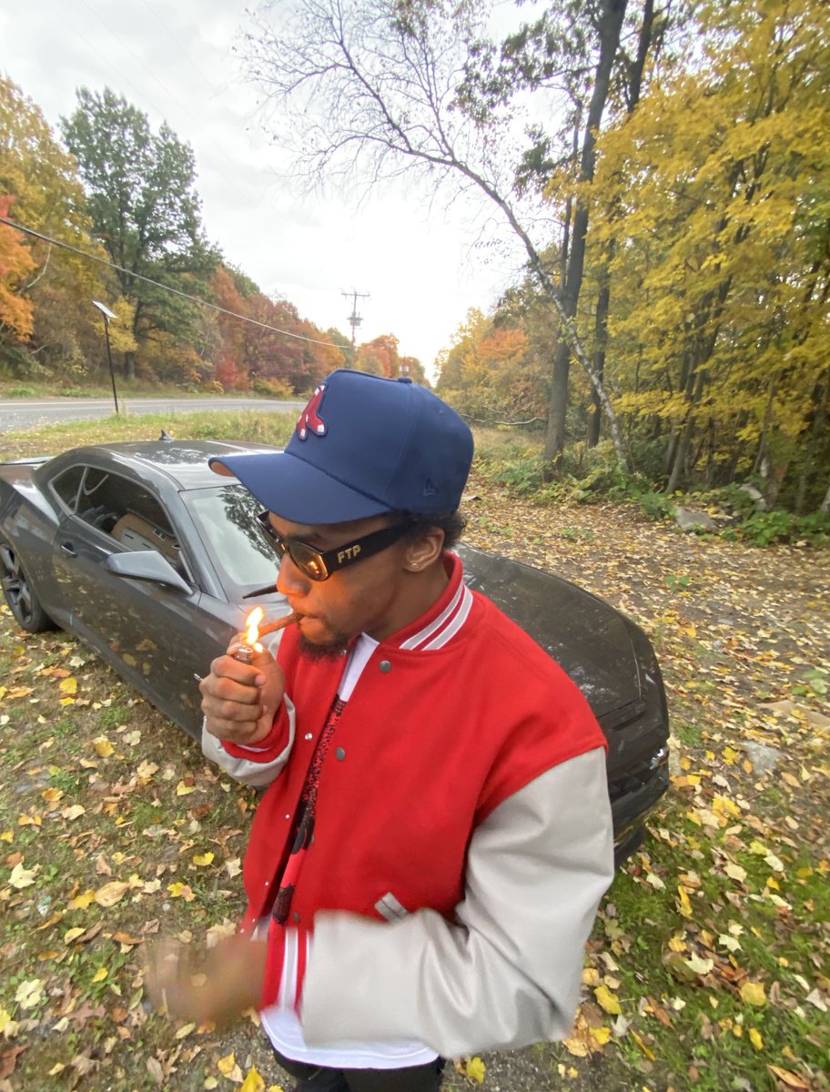 P🌴🦈 tweet media