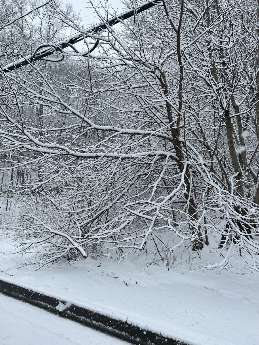 Brumal drops in a week (at 11/17/23 @ 12 A.M. !!!)

Thank you so much for the support that you've been giving me, I hope the album meets (or even surpasses) your expectations! <3