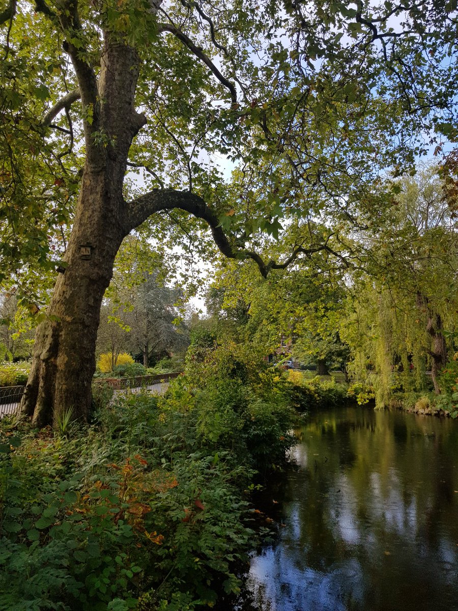 Dr Anna Garnett tweet media