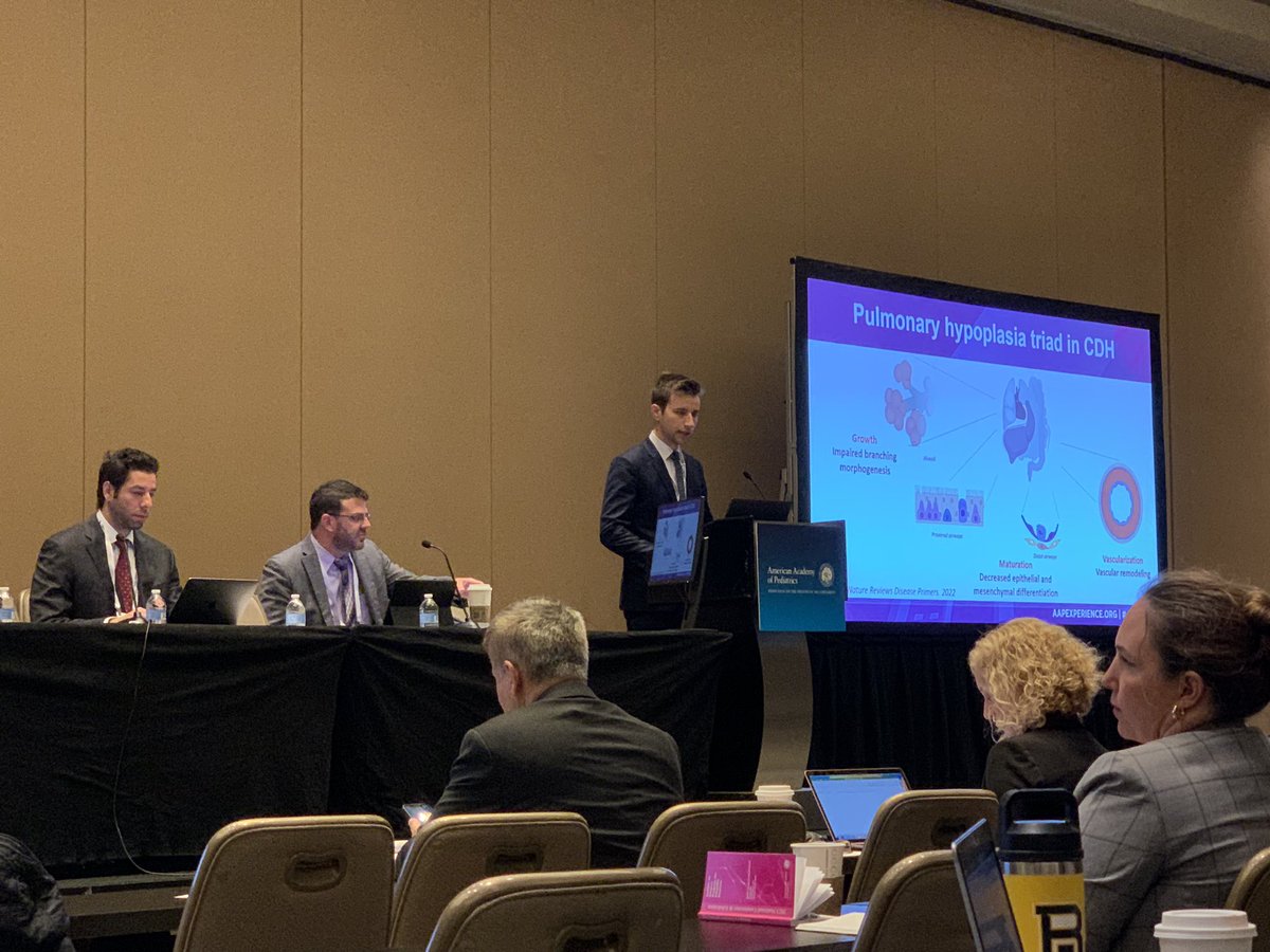 Augusto Zani tweet media