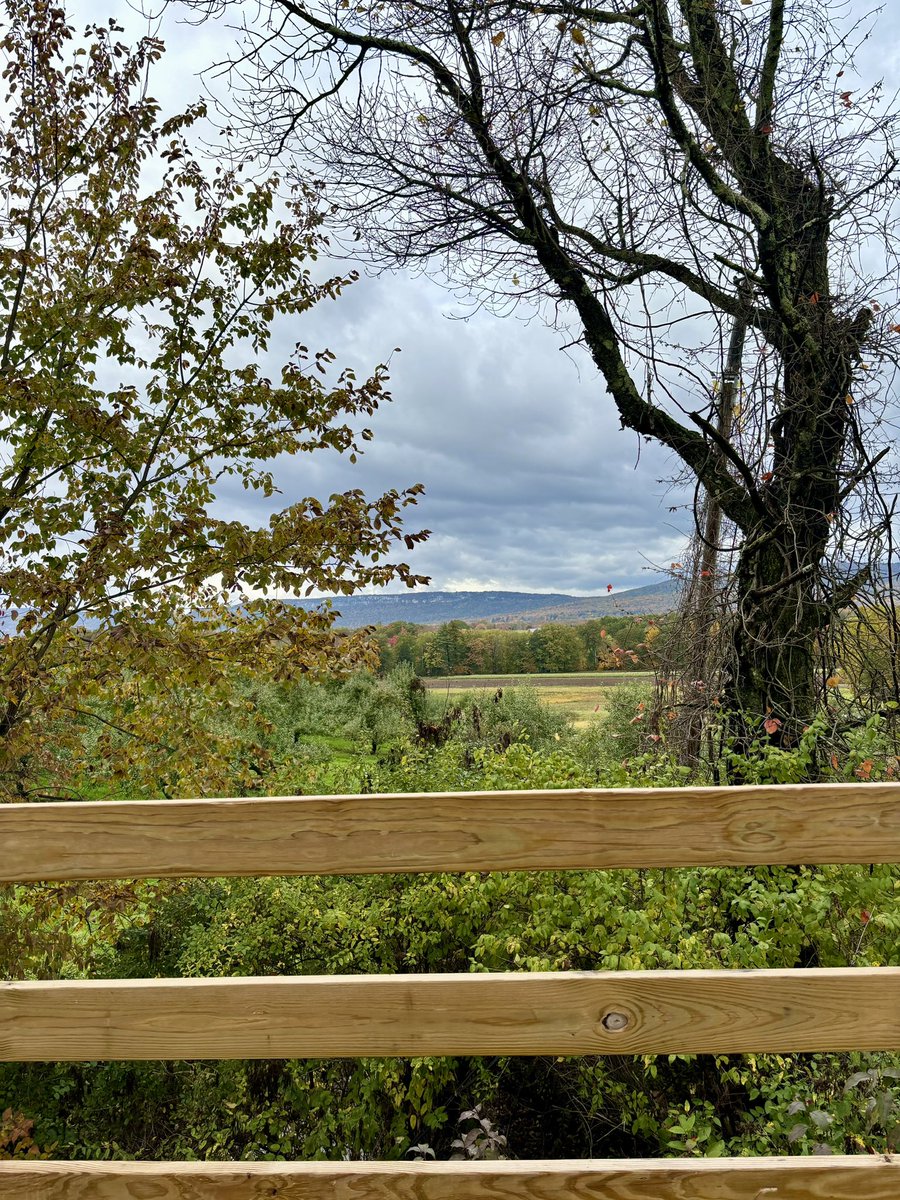 LindsayMU's tweet photo. Fall miles https://t.co/xGHTAkF0VQ