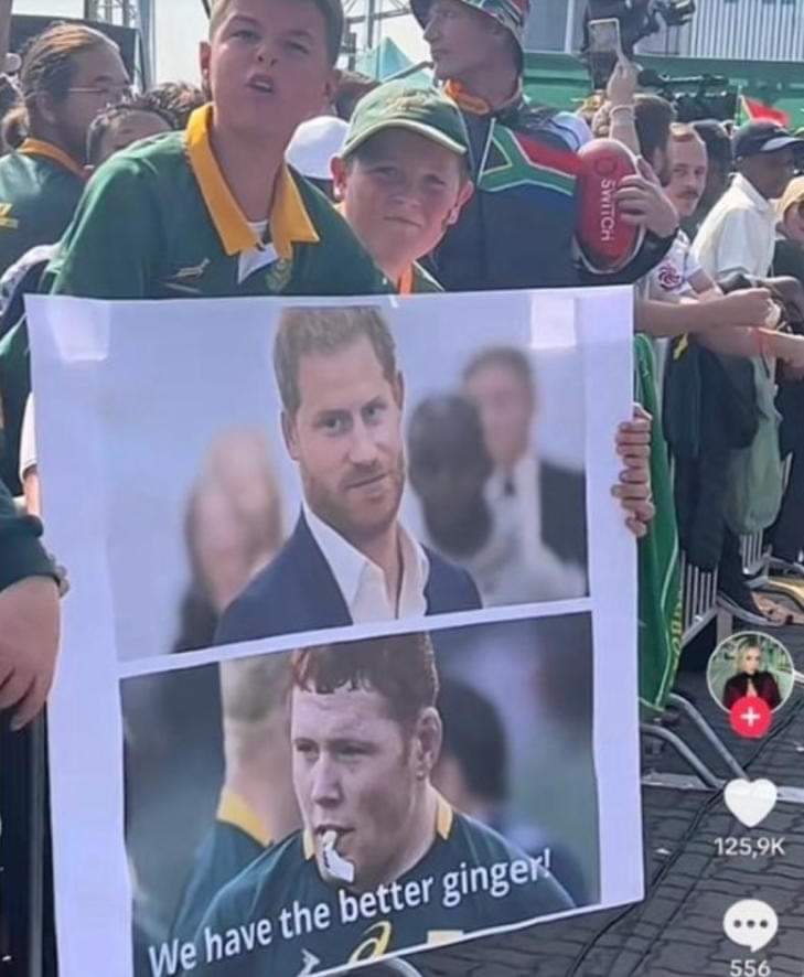 BiermanTony's tweet photo. @vanzyl_dan https://t.co/8y5bFIJFgM
