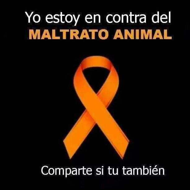 🙋🏻‍♀️💜 🐶🐷🐮🐣🐖🐗🐰🐔🐟🐬🐋🐵🐐🐏

#noalmaltratoanimal #todaslasvidasvalen #losanimalesmeimportan #losanimalesnosoncomida #respetoanimal #Oceanican #love #animals #veganforthem #friendsnotfood