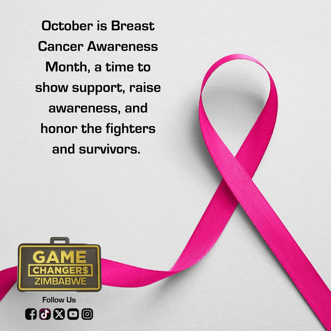 Game Changers Zim tweet media