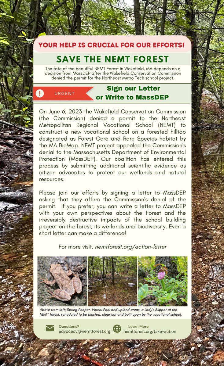 Dear Forest Friends 🌲 in MA💗SIGN NOW our letter to MassDEP- ask them to deny the permit for the NEMT project, protect wetlands, preserve the surrounding native Forested areas,🦉wildlife habitat & Breakheart Reservation.#saveourforests #healtheforest nemtforest.org/action-letter