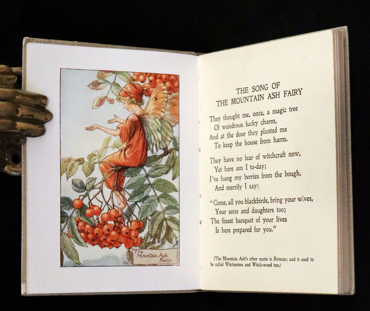 mflibra's tweet image. 1930 Rare Book - Cicely Mary Barker - FLOWER FAIRIES OF THE AUTUMN.
mflibra.com/products/1930-…

#BookWithASoul #OriginalBinding #DustJacket #CicelyMaryBarker #fairies #flowers #autumn #illustrated #bookworm #library #bookstore #booknerd #rarebooks #bibliophile