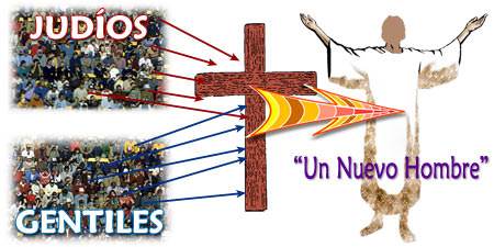 Theo Feneziz tweet media