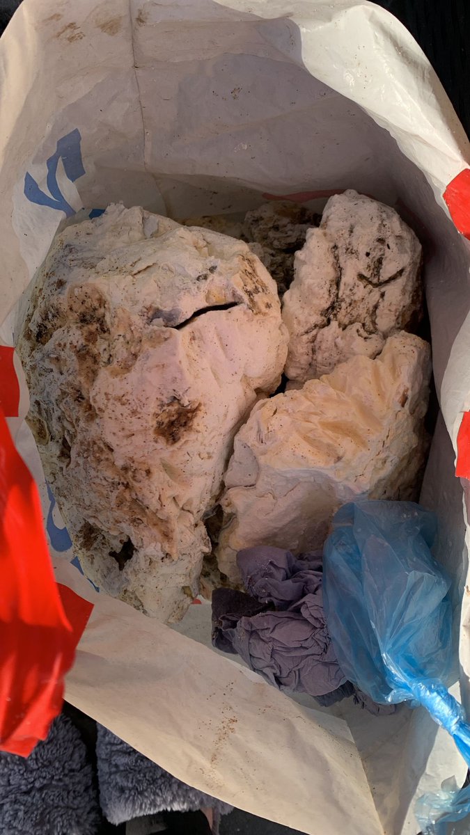 Reclaim our Sea tweet media