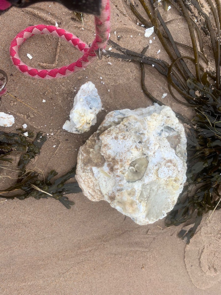 Reclaim our Sea tweet media