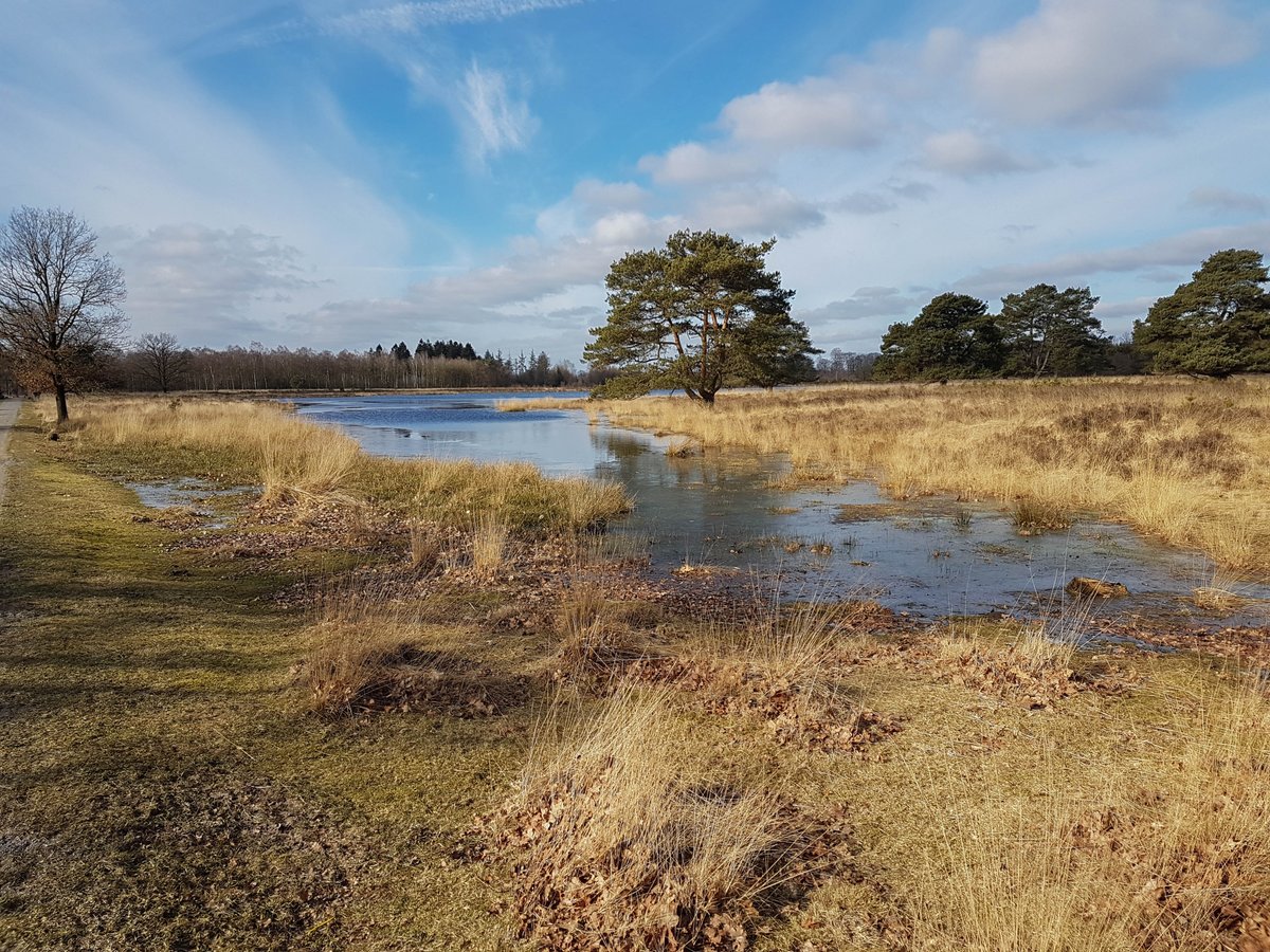 Lezing over Nationale Parken in zw-Drenthe, nu en in de toekomst. Donderdag 9 november in dorpshuis Dwingeloo.
natuurmonumenten.nl/natuurgebieden…